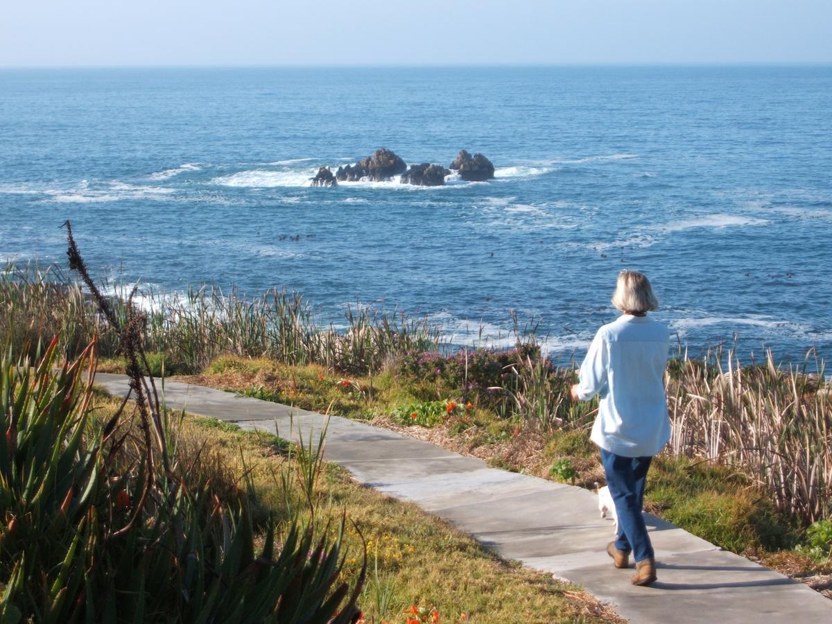 Smuts Ave. Guest Rooms Hermanus Buitenkant foto